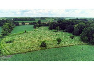 Dekalb County, Indiana Farmland - FARM AUCTION - 4 BEDROOM HOME, BUILDINGS, 70+/- ACRES OFFERED IN 5 TRACTS IN DEKALB COUNTY, INDIANA